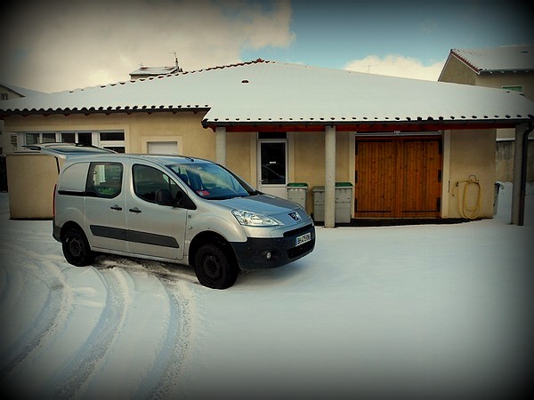 Un vétérinaire bien équipé: Peugeot Expert à transmission 4x4 Dangel + 4 pneus neige