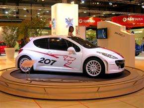 Peugeot 207 RCup