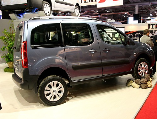 Dangel Berlingo et Partner Silhouette